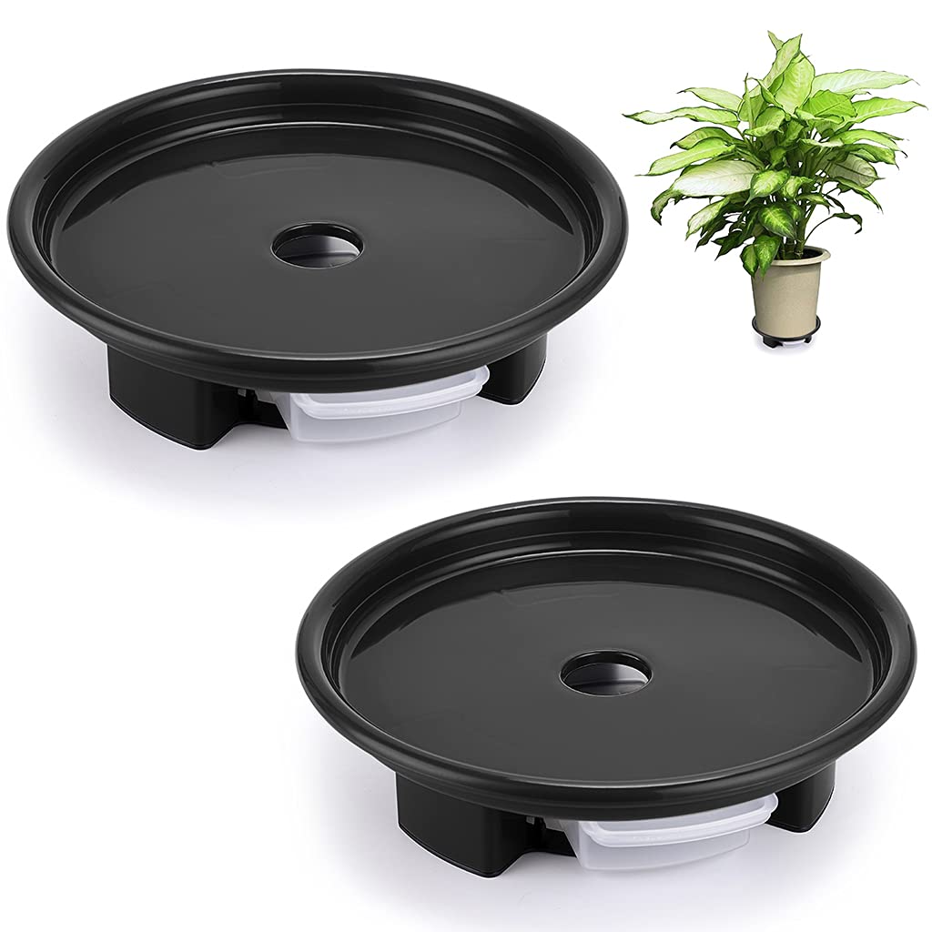 Amazon.com : Skelang Plant Pot Saucer 8.5 Inches, Plant Stand with